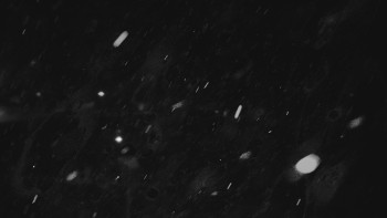 Ski areál U Sachovy studánky