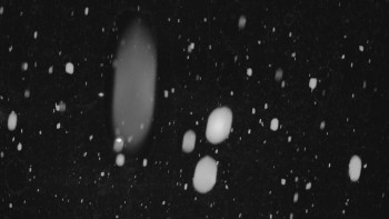 Ski areál U Sachovy studánky