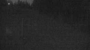 Ski areál U Sachovy studánky - Sachova studánka - 15.8.2025 v 04:45