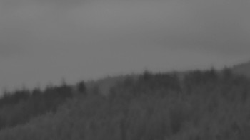 Ski areál U Sachovy studánky