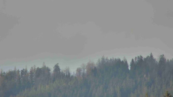 Ski areál U Sachovy studánky