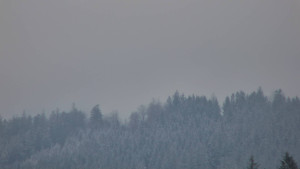 Ski areál U Sachovy studánky - Radhošť - 31.12.2025 v 08:01