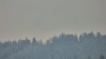 Ski areál U Sachovy studánky