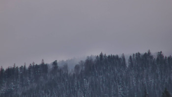 Ski areál U Sachovy studánky