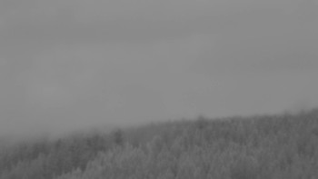 Ski areál U Sachovy studánky