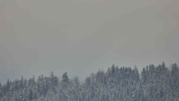 Ski areál U Sachovy studánky