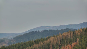 Ski areál U Sachovy studánky