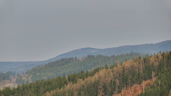 Ski areál U Sachovy studánky