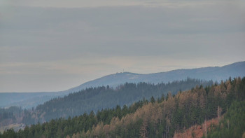 Ski areál U Sachovy studánky
