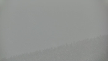 Ski areál U Sachovy studánky