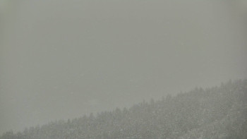 Ski areál U Sachovy studánky