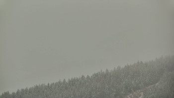 Ski areál U Sachovy studánky