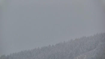 Ski areál U Sachovy studánky