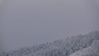 Ski areál U Sachovy studánky