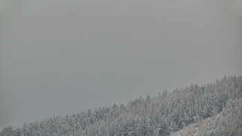 Ski areál U Sachovy studánky