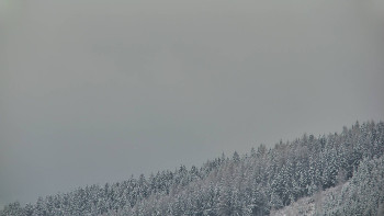 Ski areál U Sachovy studánky