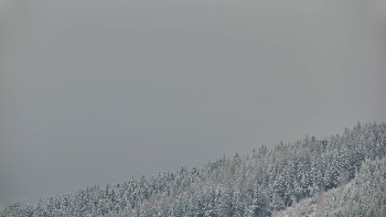 Ski areál U Sachovy studánky