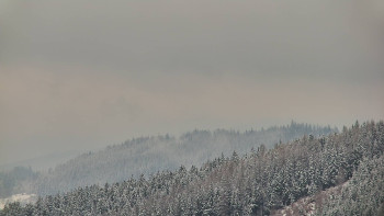 Ski areál U Sachovy studánky