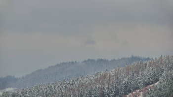 Ski areál U Sachovy studánky
