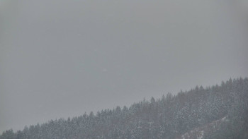 Ski areál U Sachovy studánky