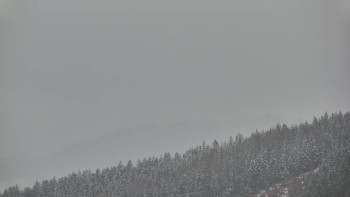 Ski areál U Sachovy studánky