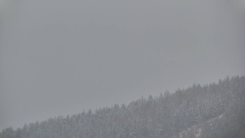 Ski areál U Sachovy studánky