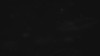 Ski areál U Sachovy studánky