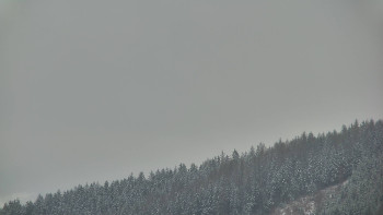 Ski areál U Sachovy studánky