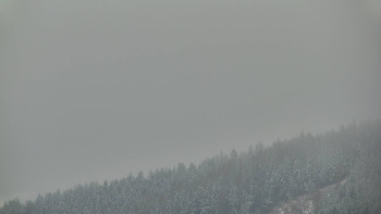 Ski areál U Sachovy studánky