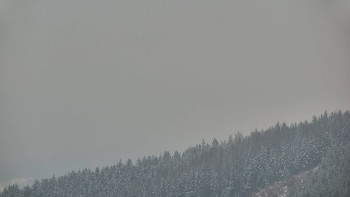 Ski areál U Sachovy studánky