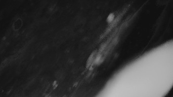 Ski areál U Sachovy studánky