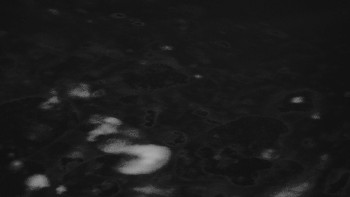 Ski areál U Sachovy studánky