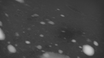 Ski areál U Sachovy studánky