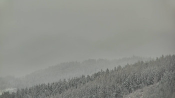 Ski areál U Sachovy studánky