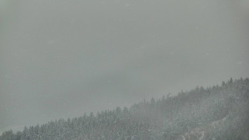 Ski areál U Sachovy studánky