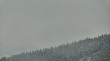 Ski areál U Sachovy studánky