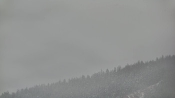 Ski areál U Sachovy studánky