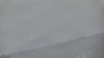 Ski areál U Sachovy studánky