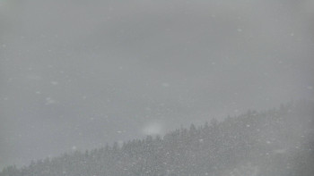 Ski areál U Sachovy studánky