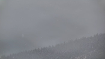 Ski areál U Sachovy studánky