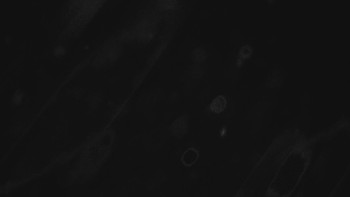 Ski areál U Sachovy studánky