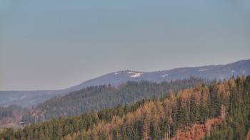 Ski areál U Sachovy studánky