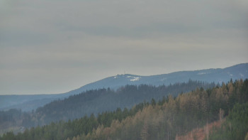 Ski areál U Sachovy studánky