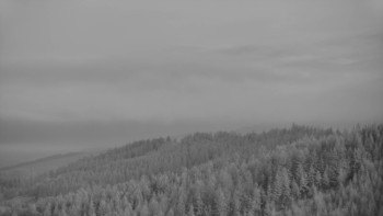 Ski areál U Sachovy studánky