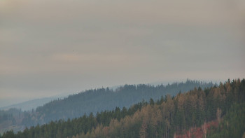 Ski areál U Sachovy studánky