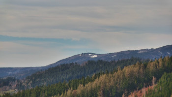 Ski areál U Sachovy studánky
