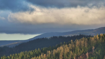 Ski areál U Sachovy studánky
