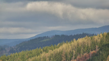 Ski areál U Sachovy studánky