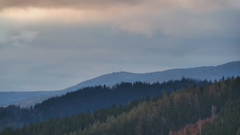 Ski areál U Sachovy studánky