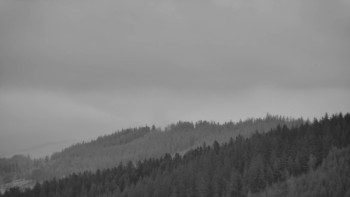 Ski areál U Sachovy studánky